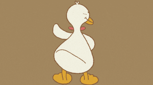 njWPDzR.gif (1920×1080)  Duck wallpaper, Cool animated gifs, Funny duck