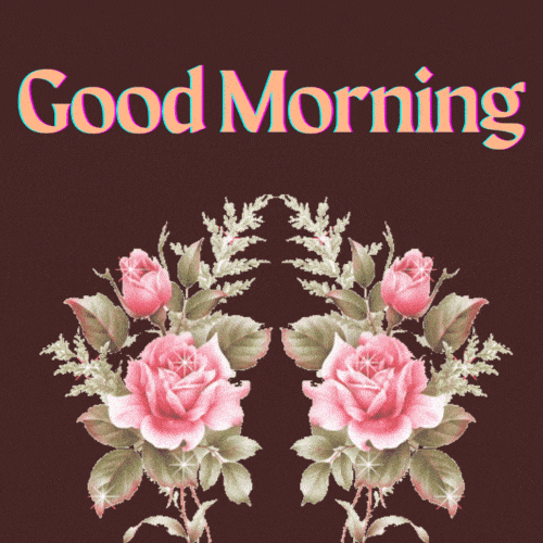 Beautiful Good morning Flowers GIF Images - Mk GIFs.com