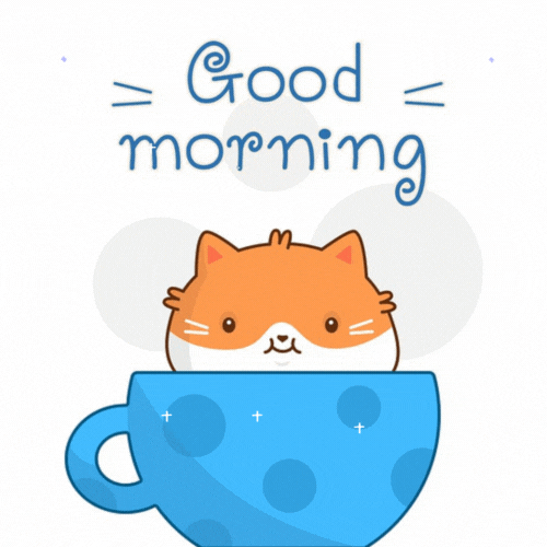 Hilarious Good Morning GIF Funny Images HD Downloads Mk