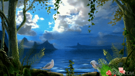 animated gif nature background