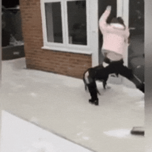 Best Funny Slip and Fall GIFs Mk