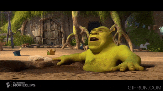 Spam the Texas antiabortion site with these funny Shrek memes  Film Daily
