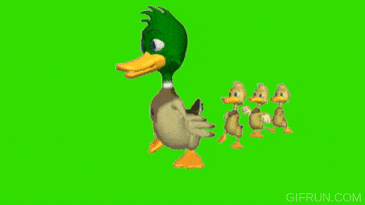 njWPDzR.gif (1920×1080)  Duck wallpaper, Cool animated gifs, Funny duck