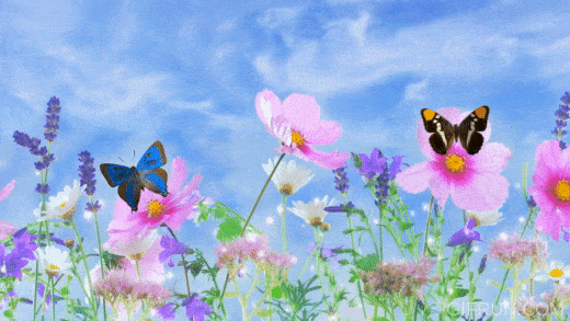 tumblr_pafi11xdwL1qkz08qo1_400.gif (400×225)  Anime scenery, Nature gif,  Anime scenery wallpaper