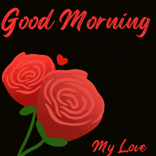 good morning love red roses