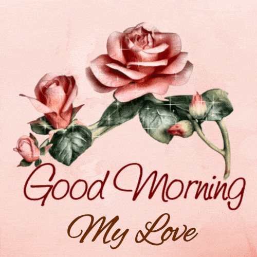 Beautiful Animated Good Morning My Love GIF Images  Good morning my love,  Good morning gif, Good morning images hd