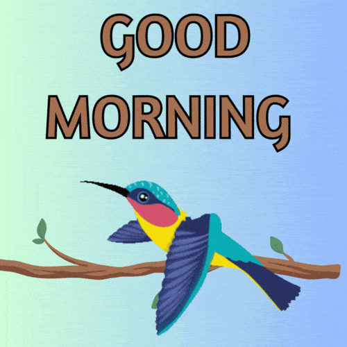Animated Hummingbird Gif Images - Mk GIFs.com