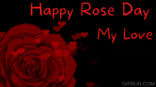 valentine day rose wallpaper,red,valentine's day,heart,petal,flower  (#727389) - WallpaperUse